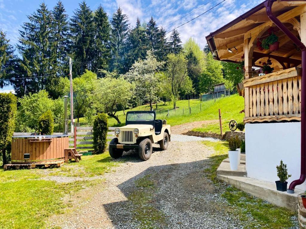 Cabana Elena Borşa Esterno foto