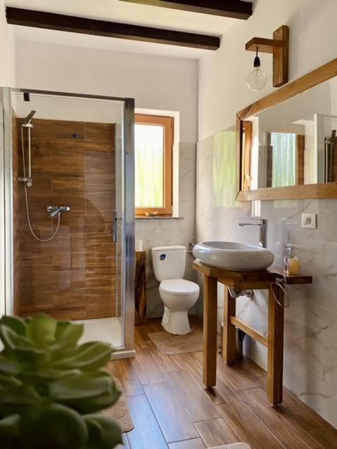 Cabana Elena Borşa Esterno foto