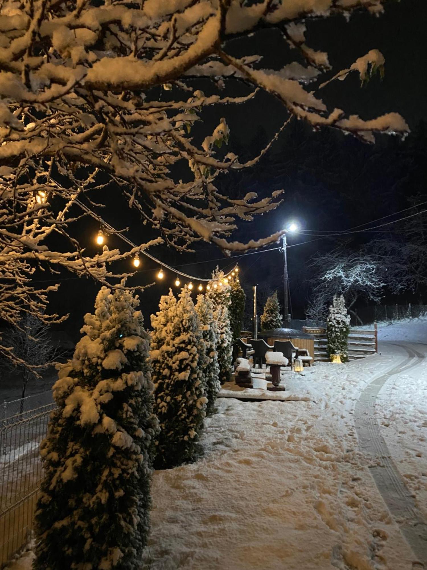 Cabana Elena Borşa Esterno foto